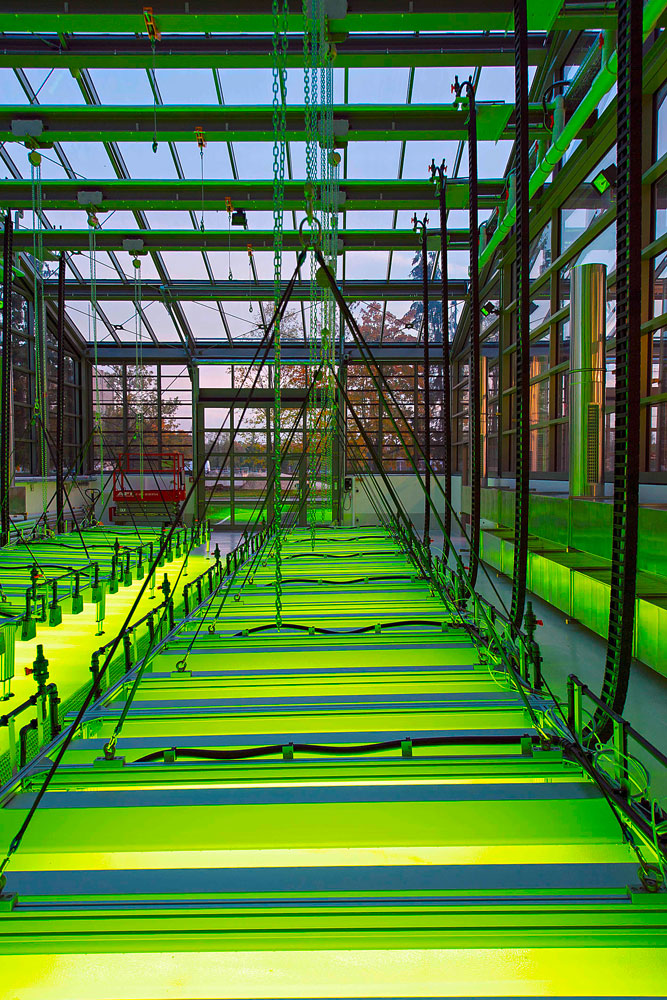 Planting power: the power sources of the future are already growing in the lab