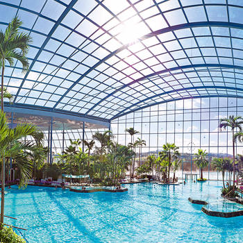Swimming world